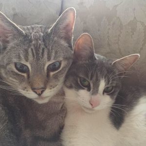 Meet your Posher, Lori